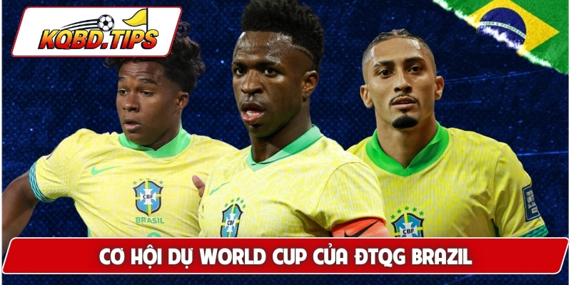Cơ hội dự World Cup của ĐTQG Brazil