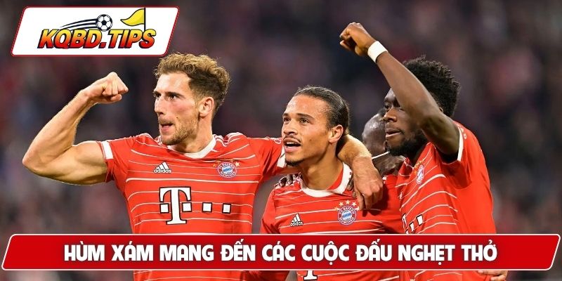 Hùm Xám mang đến các cuộc đấu nghẹt thở