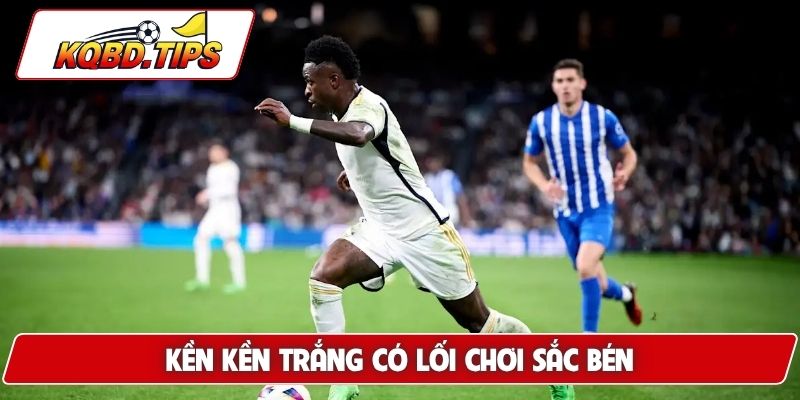 Kền kền trắng có lối chơi sắc bén